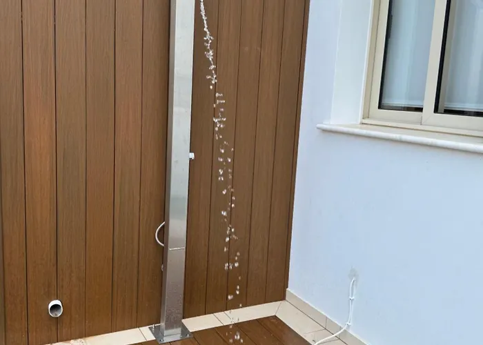 Paez 프로타라스